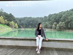 -铁山坪森林公园