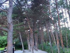 -帽儿山国家森林公园