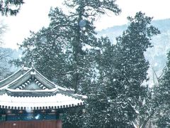 -香山公园