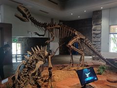 -自贡恐龙博物馆