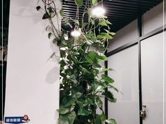 -听涛雅苑百味饺子老家菜馆