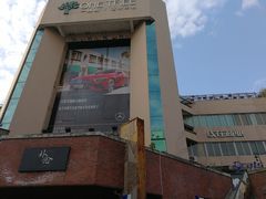 -一棵树·意大利西餐厅One Tree(新城店)