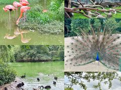 -杭州野生动物世界