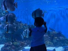 -海合安成都极地海洋公园