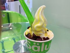 -Salud撒露欧洲冻酸奶(蓝色港湾店)