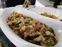 肥牛鹿茸菌-悦湖公馆