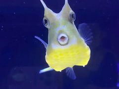 -上海海洋水族馆