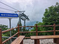 -牛背梁国家森林公园