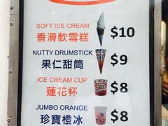 -富豪雪糕车流动点(尖沙咀)