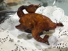-石岐乳鸽村(南海第三分店)