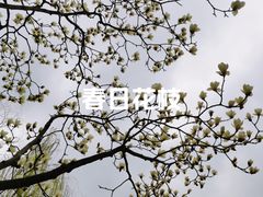 -南北湖风景区