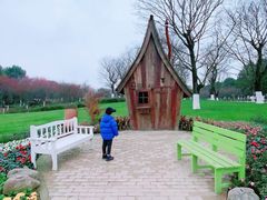 -秀丽东方