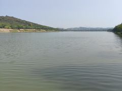 -羊山湖公园
