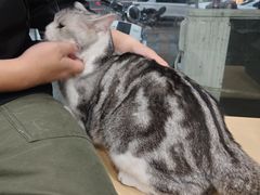 -瑞鹏宠物医院·超声·骨科·奇麟分院(蜀都万达店)