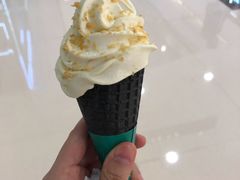 椰子酸奶冰淇淋-大头椰·椰子鸡火锅(南宁万象城店)