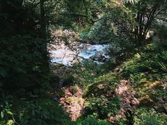 -西岭雪山大飞水景区