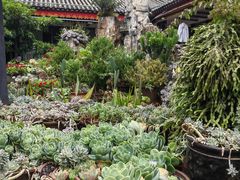 -山菌美食苑(振兴路店)