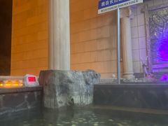 -金水鹤温泉国际酒店