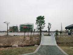-王借岗森林公园