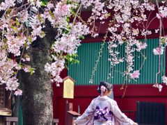 -东京浅草和服体验江户和装工房雅(浅草本店)