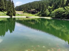 -武陵山森林公园