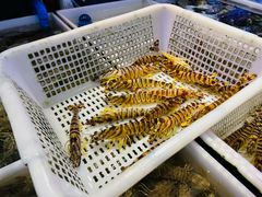 -桃源市场(解放路店)