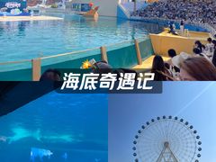 -秦皇岛乐岛海洋王国