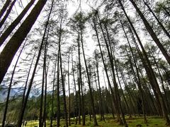 -硗碛藏寨·神木垒景区