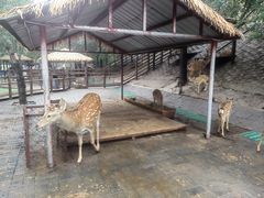 -北京鹿世界主题园