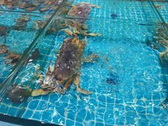 -琼大师东方烤乳猪(亚特兰蒂斯店)