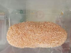 -聚德华天护国寺小吃(甜水园店)