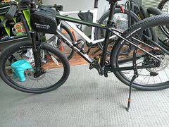 -道路口单车爱瓦士dahon大行