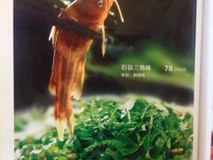 石锅三角峰-大蓉和(一品天下店)