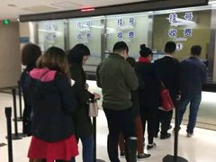 -同济大学附属口腔医院