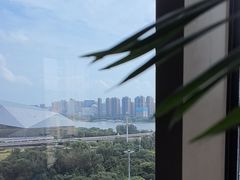 -皇朝万鑫自助餐厅