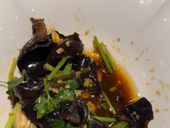 -洞庭家宴·头牌甲鱼(广渠门店)