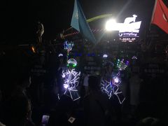 -嘉庚体育馆