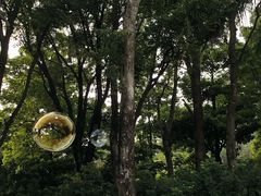 -南沙蒲洲花园