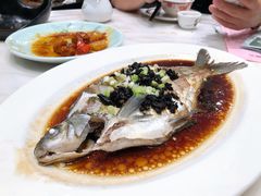 蒸边鱼-稻香酒家·33年老字号·港式粤菜(富邦中心店)