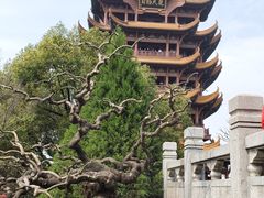 -黄鹤楼公园(黄鹤楼)