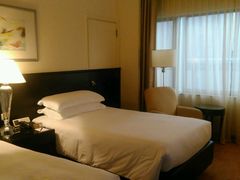 -新加坡乌节希尔顿酒店 (SG Clean)