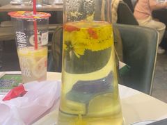 -探窝·竹笙椰子鸡(杨箕店)