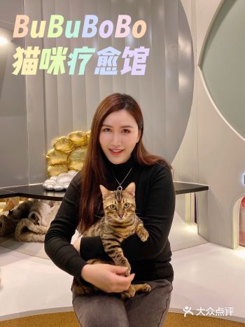 小猫咪能有什么坏心眼呢无非就是治愈你！