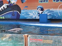 -秦皇岛新澳海底世界