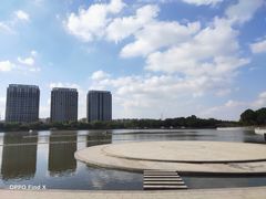 -南翔镇银翔湖公园