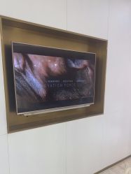 -南京美莱医疗美容·旗舰店