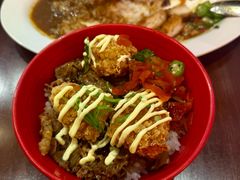 -伽喱博士 Dr.CURRY咖喱饭(太阳宫咖喱店)