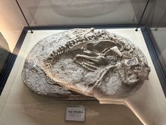 -辽宁古生物博物馆