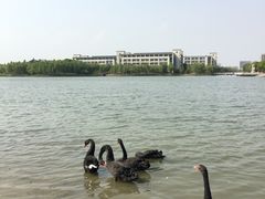 -江南大学(蠡湖校区)