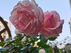 -欧洲房子(宜必思店)